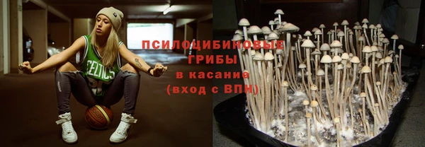 дмт Новодвинск