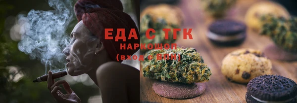 индика Ельня