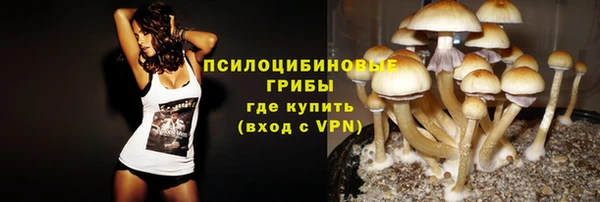 дживик Нея