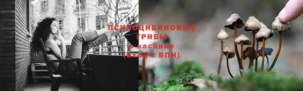 каннабис Нефтекумск