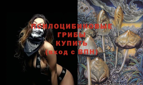 дживик Нея