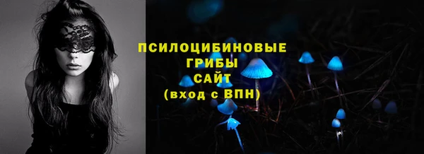 эйфоретик Новозыбков