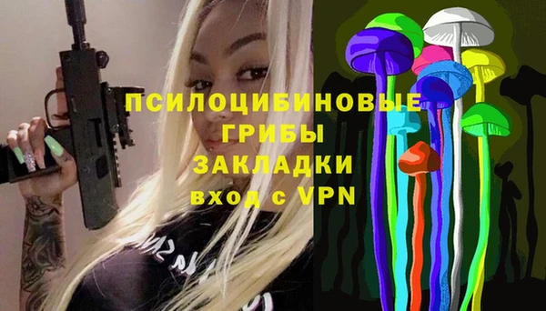 дживик Нея