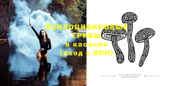 крисы Слюдянка