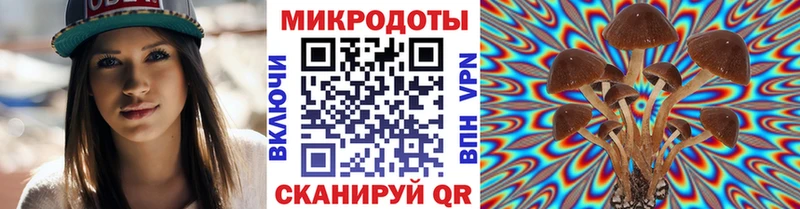 ссылка на мегу онион  Мичуринск  Галлюциногенные грибы Psilocybe 