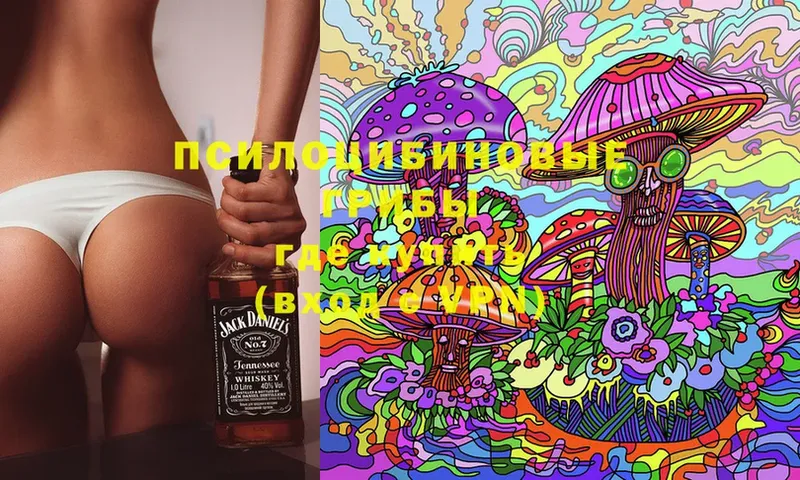 цена   Мичуринск  Галлюциногенные грибы MAGIC MUSHROOMS 