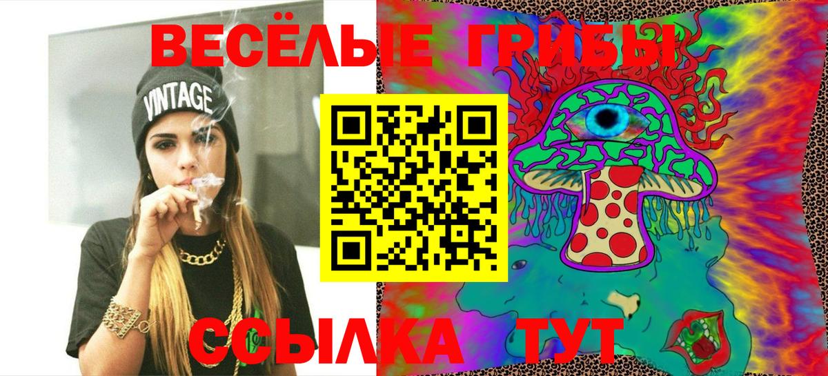 Псилоцибиновые грибы Psilocybe  Вход с VPN  Псилоцибиновые грибы Magic Shrooms  Мичуринск 